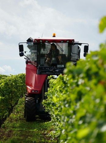 AI-консультант для агрокомпанії — скорочення навантаження на 60%.